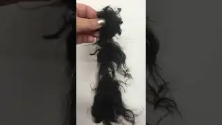 Dog Grooming Matted Dogs