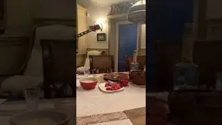 Максим Леонидов Домашний концерт. Песни кино.2ч