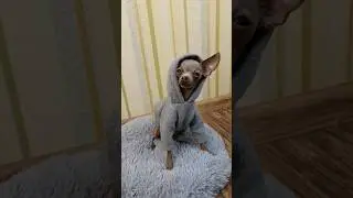 Один день из жизни блогера 