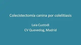Colecistectomía por litiasis en un perro.