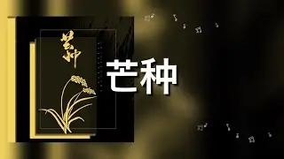 【芒种​】赵方婧 歌詞 (日本語訳pinyin)