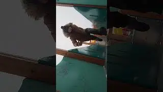 друг всегда поможет🤗