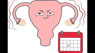 متلازمة ما قبل الدورة الشهرية (PMS)بالدارجة أسبابها و شنو خاس يدار
