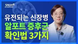 만성신부전으로 이어질 수 있는 유전되는 신장병 알포트 증후군 [숫자로 보는 건강]