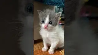 Ева) нам почти месяц
