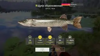 РУССКАЯ РЫБАЛКА 4 СИДЯ НА ЁЛКЕ ЛОВИЛ ЩУКУ