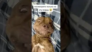 знаете?
