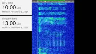 The Buzzer/UVB-76(4625Khz) November 8, 2021 10:00UTC Voice message