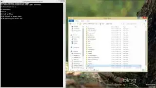 how to copy all folder names in windows