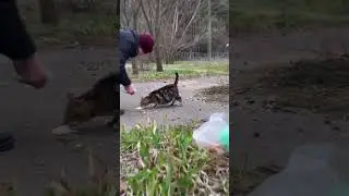 Как я провожу свободное время 😂