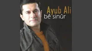 Tu Cuy