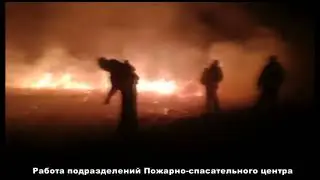 Работа подразделений областного Пожарно-спасательного центра  по ликвидации природного пожара.