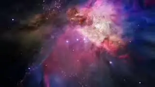 Ладушка и цветок огненный. Былина.