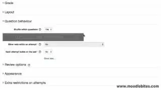 The Moodle Quiz Activity