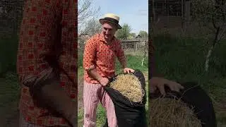 Попросив у кума про допомогу #юмор #сміхдосліз #кум #funny