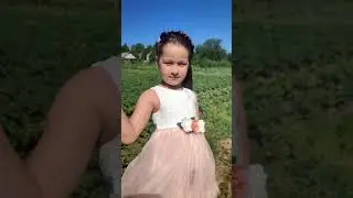 Зачіска в школу на лінійку першачків