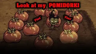 PODSTAWY FARM w DST