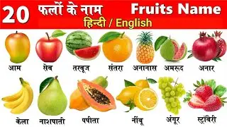 20 Fruits Name English and Hindi I फलों के नाम Learn Fruits🍎 | 20 Fruits English Hindi | Fruits🍌