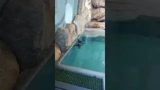 Харьковский зоопарк