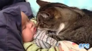 Прикол!Коты и малыши