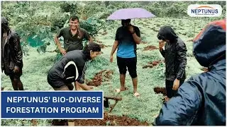 Neptunus' Bio-Diverse Forestation Program