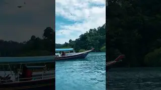 Eagle Feeding