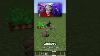 5 things you didn't know about minecraft