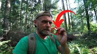 ГРИБЫ есть везде!..Только СВИСТНИ!..Потянуло на новые ГРИБНЫЕ места!