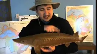 HOMES at Home Lake Sturgeon Episode 6