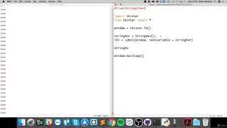 71- Easy Python Programming Label