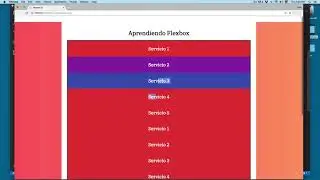 03 - Flex Wrap y Flex Flow