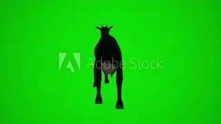 animal green screen 3D goat eating from the behind angle Chromakey rendering animation