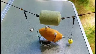 Bottom rig that catches both silver carp and carp