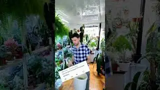 7 апреля 2024 г.