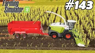 FS 18. Timelapse # 143. Maize silage.