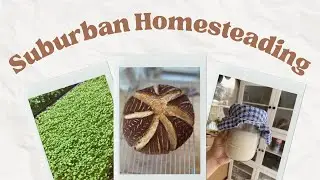 SUBURBAN HOMESTEADING | turning our waiting room into a classroom