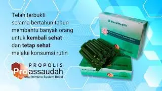 Transformasi Propolis Pro A Premium -  #Propolis #Proa #herbal #suplemen #propolisterbaik