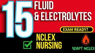 NCLEX Fluid and Electrolytes Review | 15 Practice Questions for Nursing Students