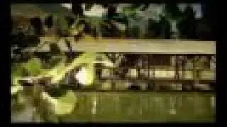 Nightwish Amaranth Lyrics
