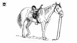 How to Draw a Horse// Horse Easy drawing
