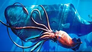 Searching for Giant Squid(full documentary)HD