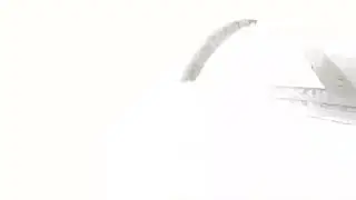 Мистер бист