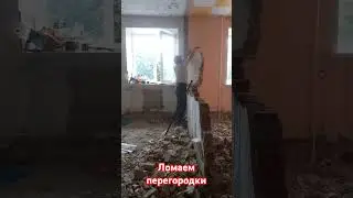 демонтаж перегородок #стройка #джунгли
