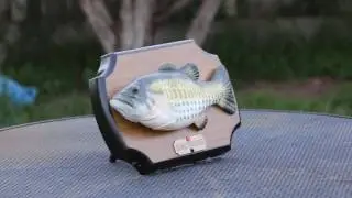 I DARE YOU TO WATCH THIS WHOLE VIDEO