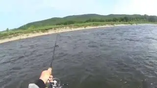 Сима