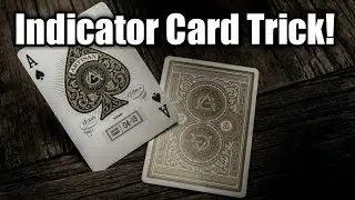 The INDICATOR Card Trick!!/Collab video with CardMechanic!