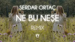 Serdar Ortaç - Ne Bu Neşe ( Fatih Yılmaz Remix )