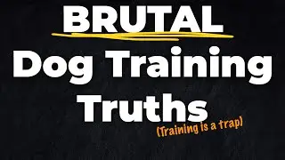 How to actually eradicate behaviour issues