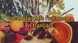 l'automne en français - vocabulaire - talk about autumn in french . 🇫🇷🍂🥮🍁📚