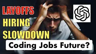 No Jobs In IT Sector - Hiring Slow Down In 2024? When Will It Revive?